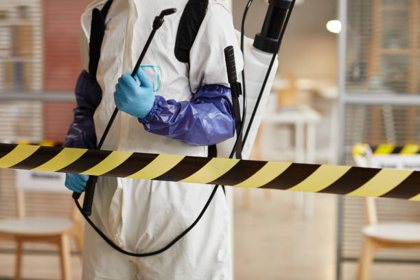 Professional Odor Removal technician working in Harveysburg, OH